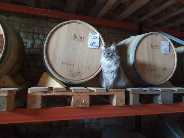 Atelier Whisky Roborel de Climens